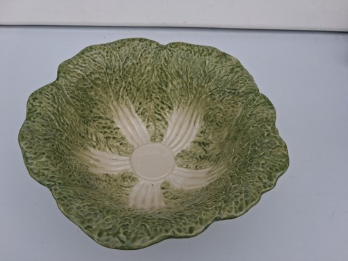 Forest green cabbage - forest,